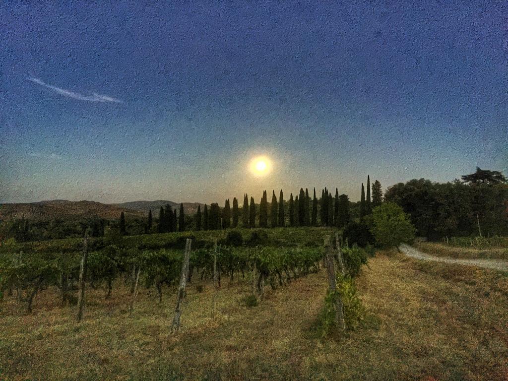 Tenuta Lupinari Bucine Exteriér fotografie